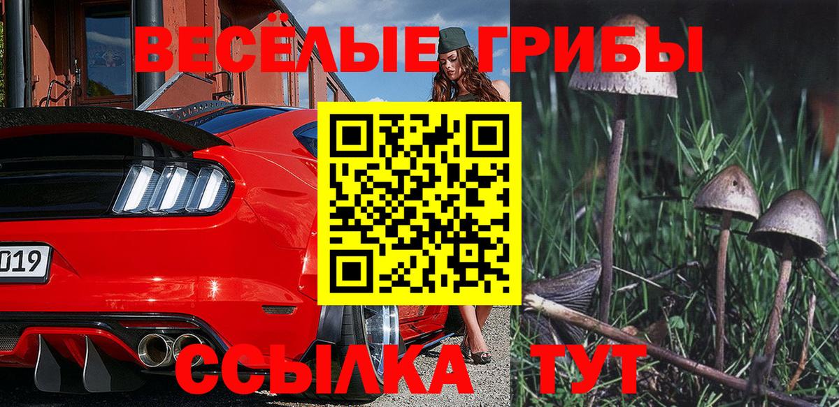 Галлюциногенные грибы Magic Shrooms  Галлюциногенные грибы MAGIC MUSHROOMS  Копейск  Вход с VPN 